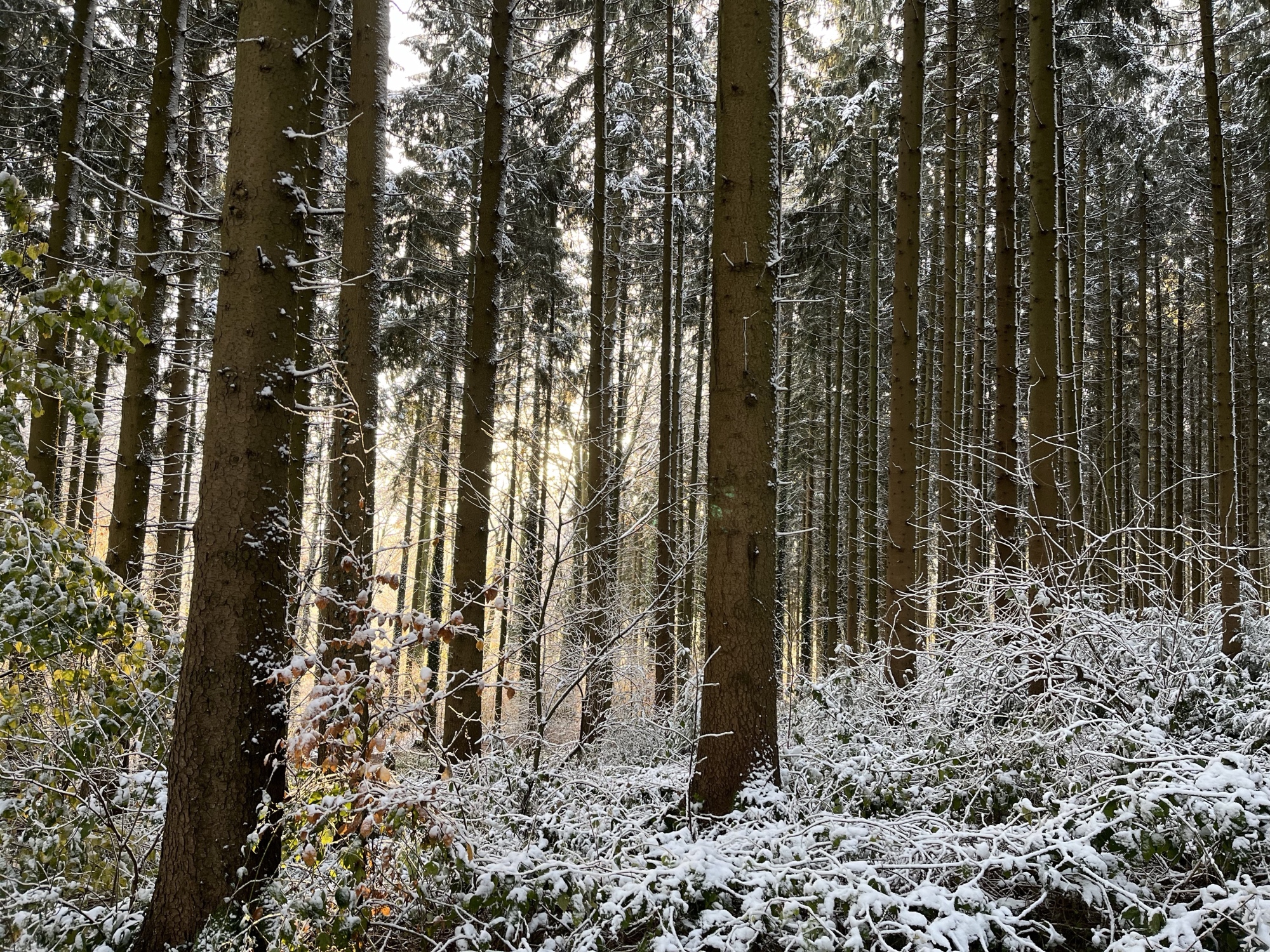 Infos zu allen Änderungen durch das November-Update